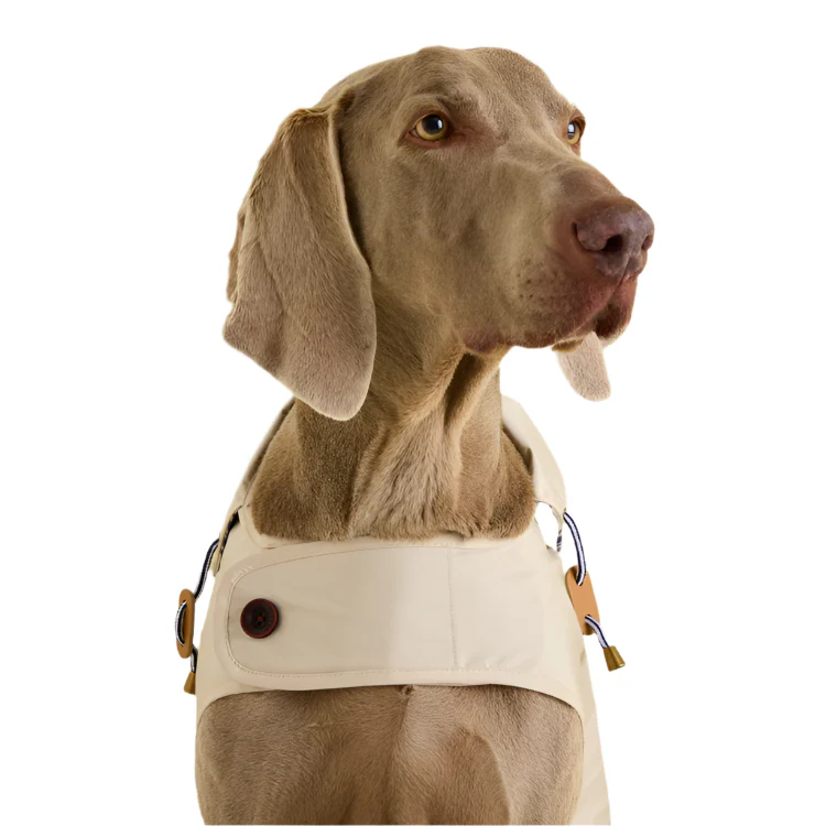 Joules Sandshell Dog Raincoat - Image 2