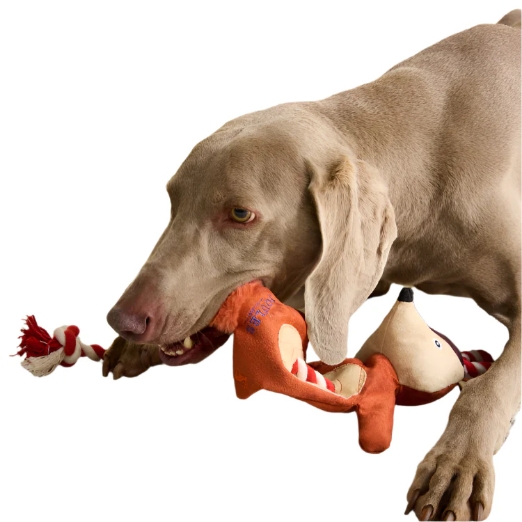 Joules Tweed Fox Rope Dog Toy - Image 5