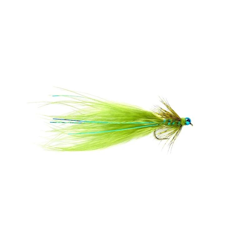 Kingfisher Blue Fly