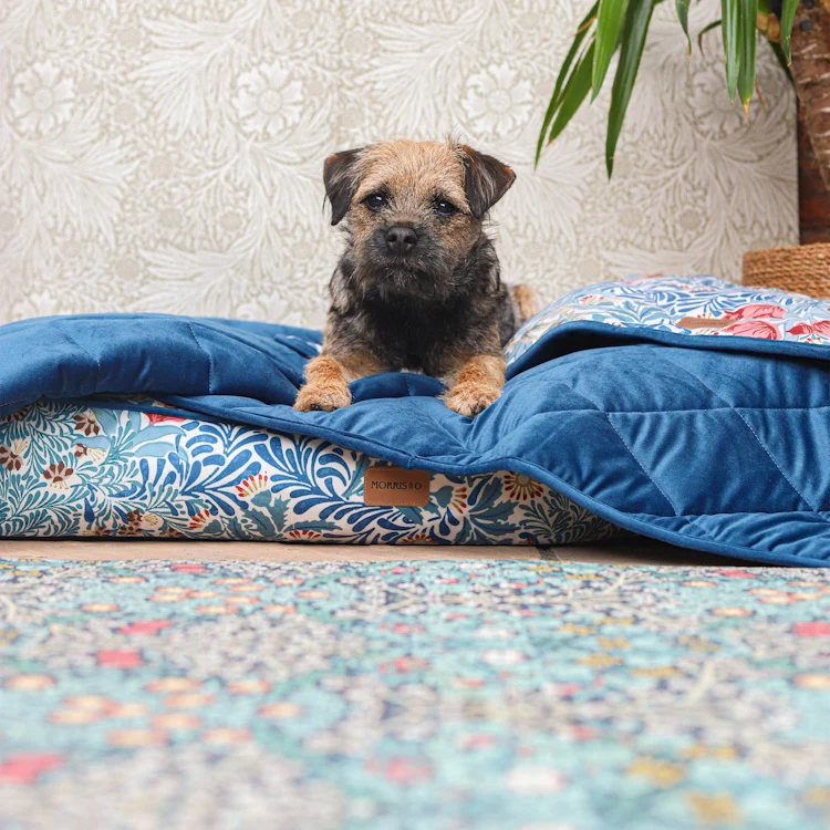 Morris and Co Pet Blanket - Bower Print - Image 3