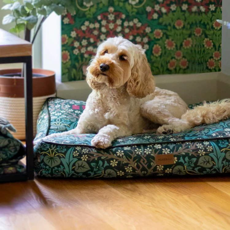 Morris and Co Pet Mattress - Blackthorn Print - Image 2