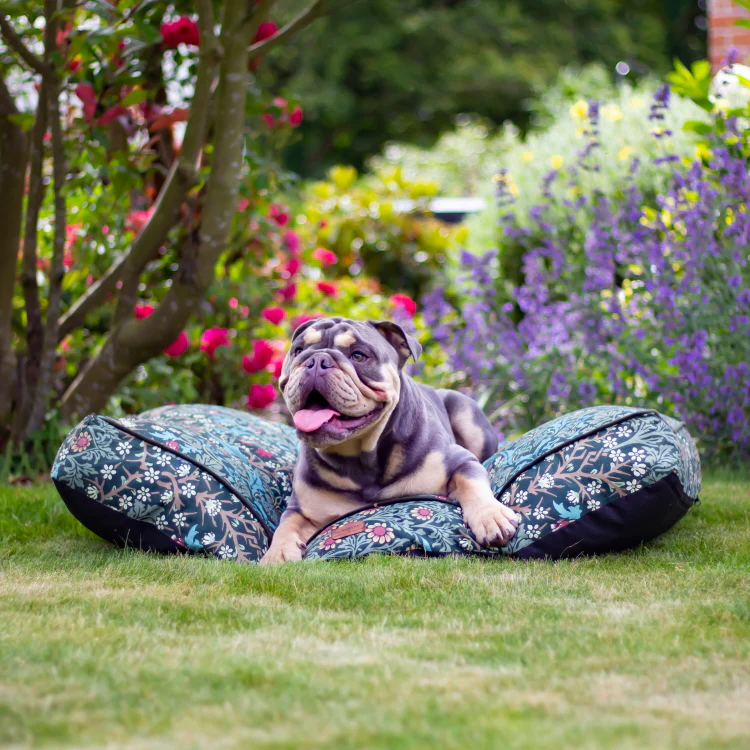 Morris and Co Pet Mattress - Blackthorn Print - Image 3