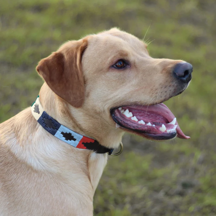 Pampeano Multi Leather Dog Collar - Image 3