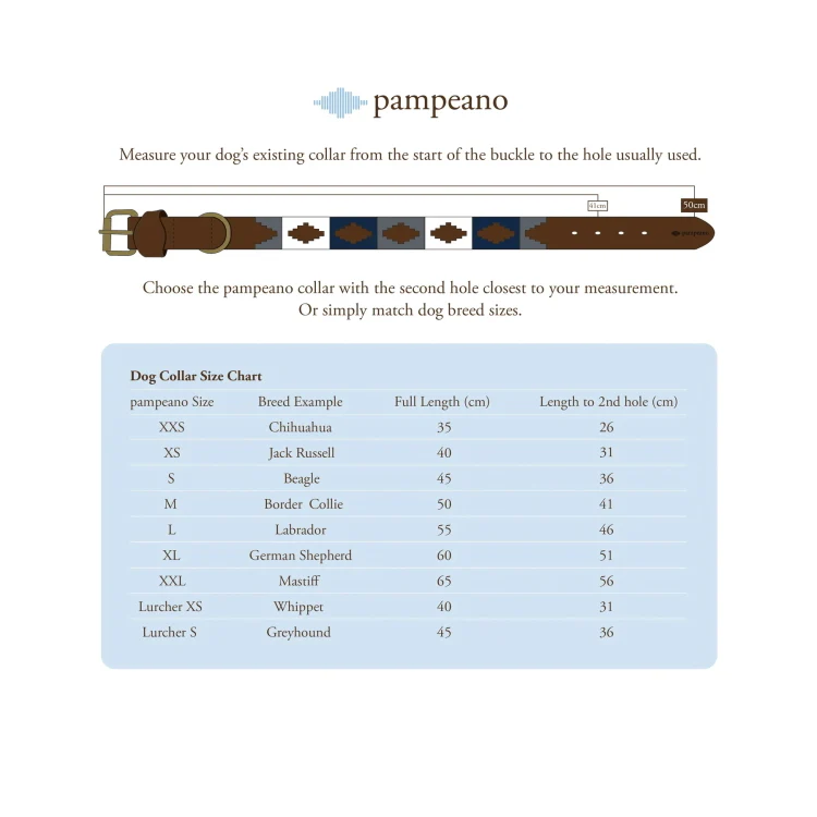 Pampeano Multi Leather Dog Collar - Image 4
