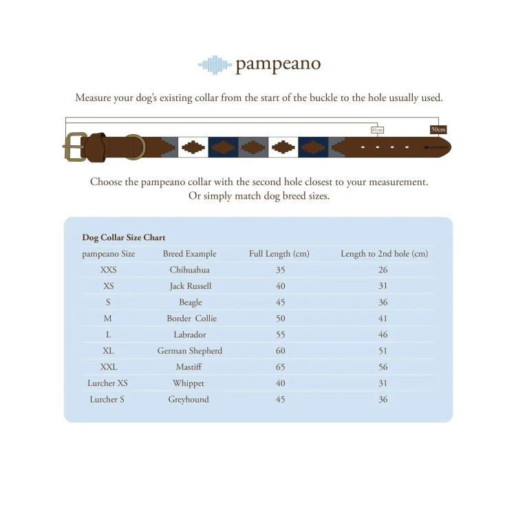 Pampeano Petalo Leather Dog Collar - Image 4
