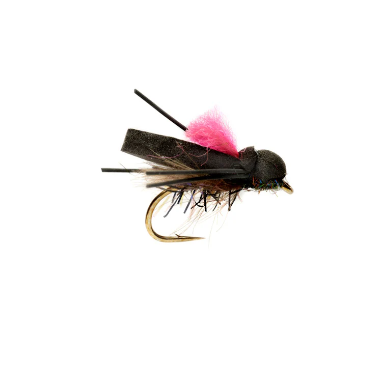 Procter Flip Flop Pink Dry Fly