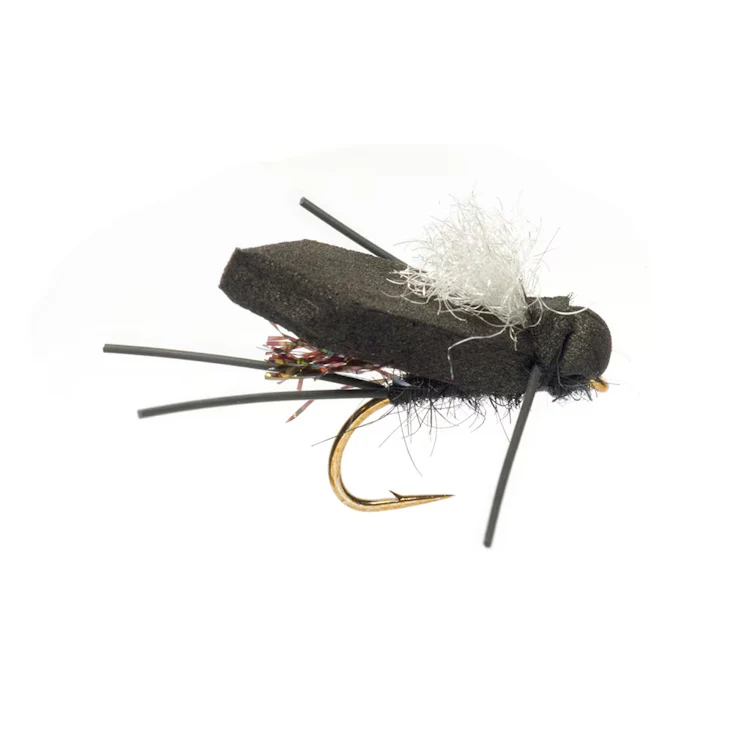 Procters Flip Flop Bush Cicada White Wing Fly