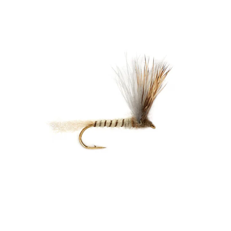 Proctor Stuck Shuck Compara May Fly