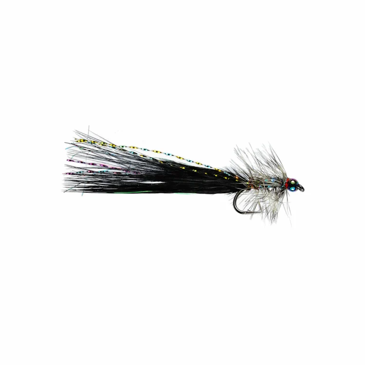 Rainbow Warrior Fly