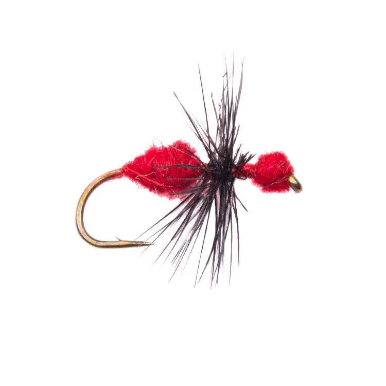 Red Ant Flies