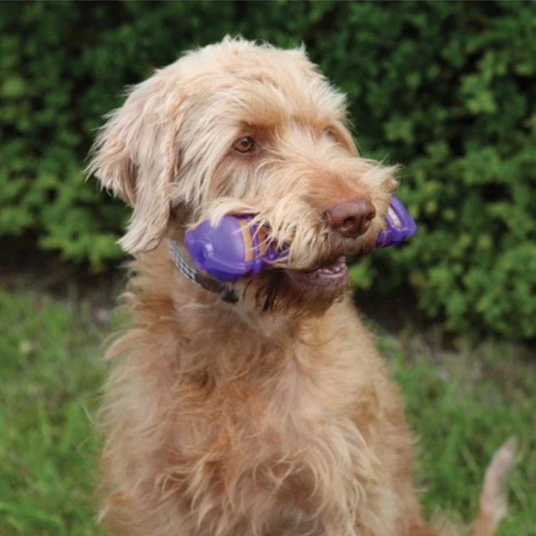 Rosewood Giggle Bone Dog Toy - Image 2