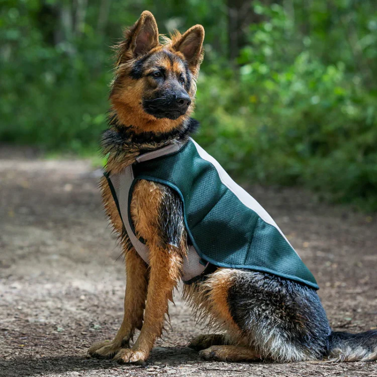 Ruff and Tumble Dog Cooling Coat - Image 2
