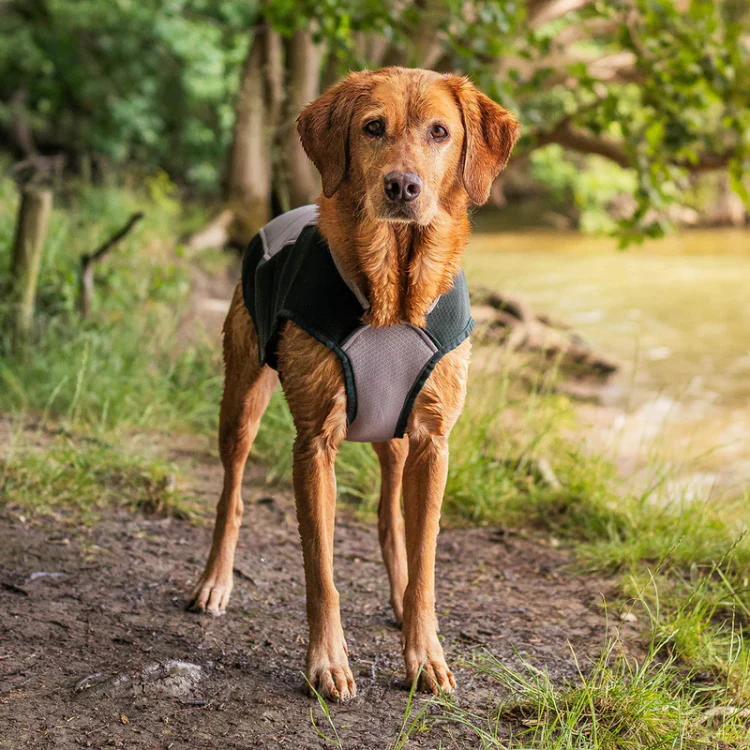 Ruff and Tumble Dog Cooling Coat - Image 3