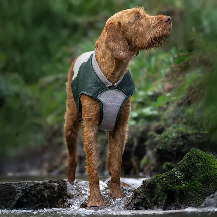Ruff and Tumble Dog Cooling Coat - Image 4