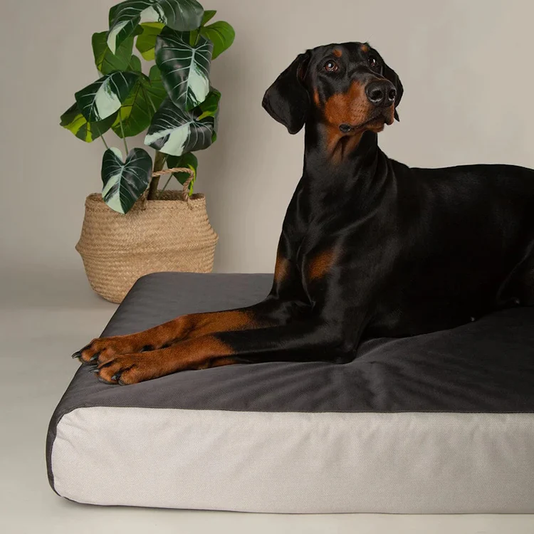 Scruffs ArmourDillo Orthopaedic Dog Bed - Grey - Image 4
