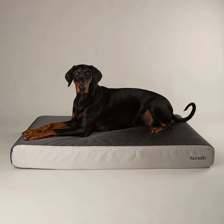 Scruffs ArmourDillo Orthopaedic Dog Bed - Grey - Image 5