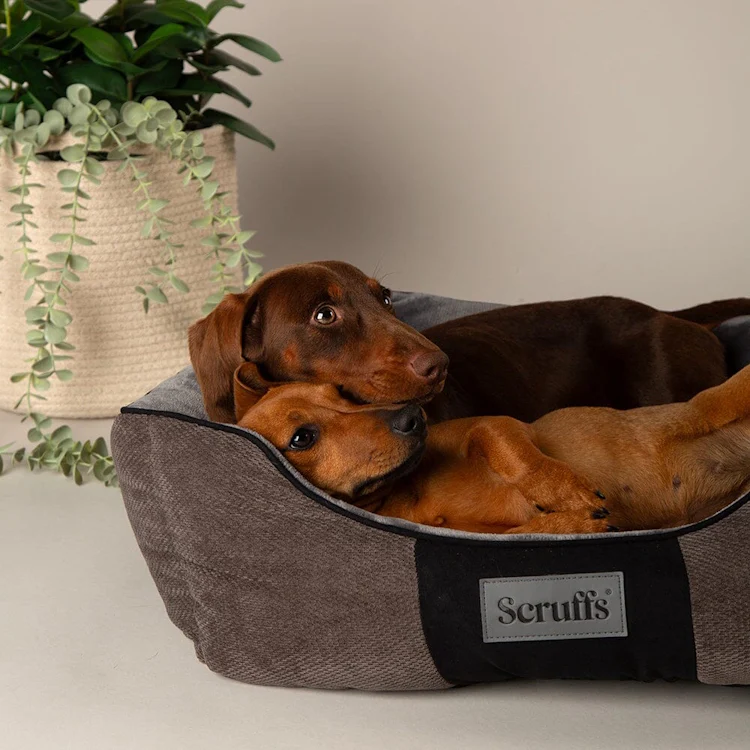 Scruffs Chester Box Dog Bed - Graphite - Image 3