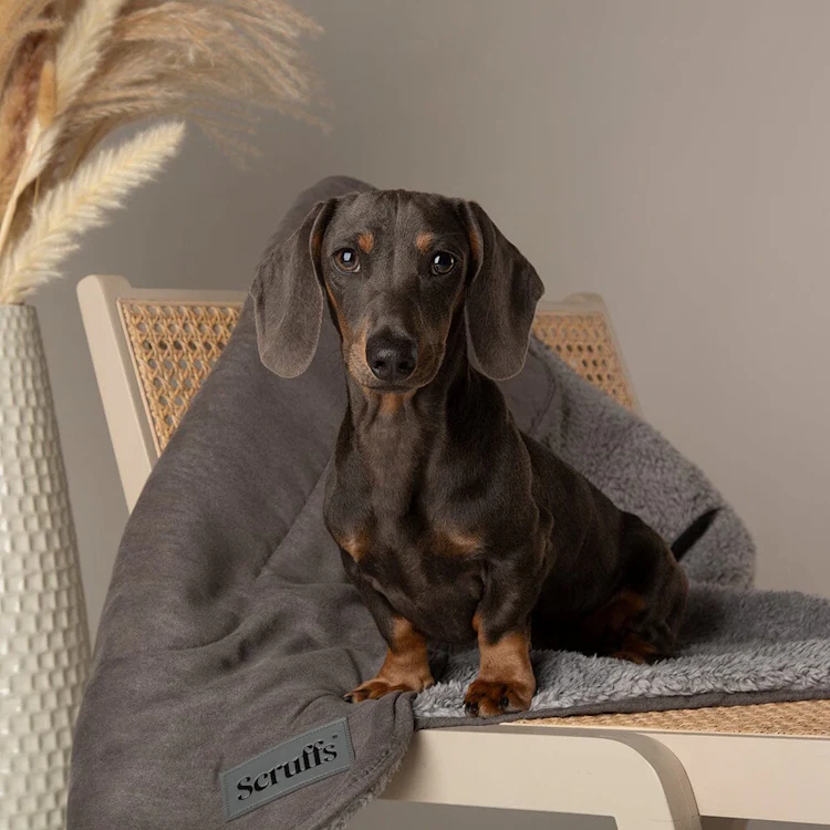 Scruffs Cosy Dog Blanket - Grey - Image 3