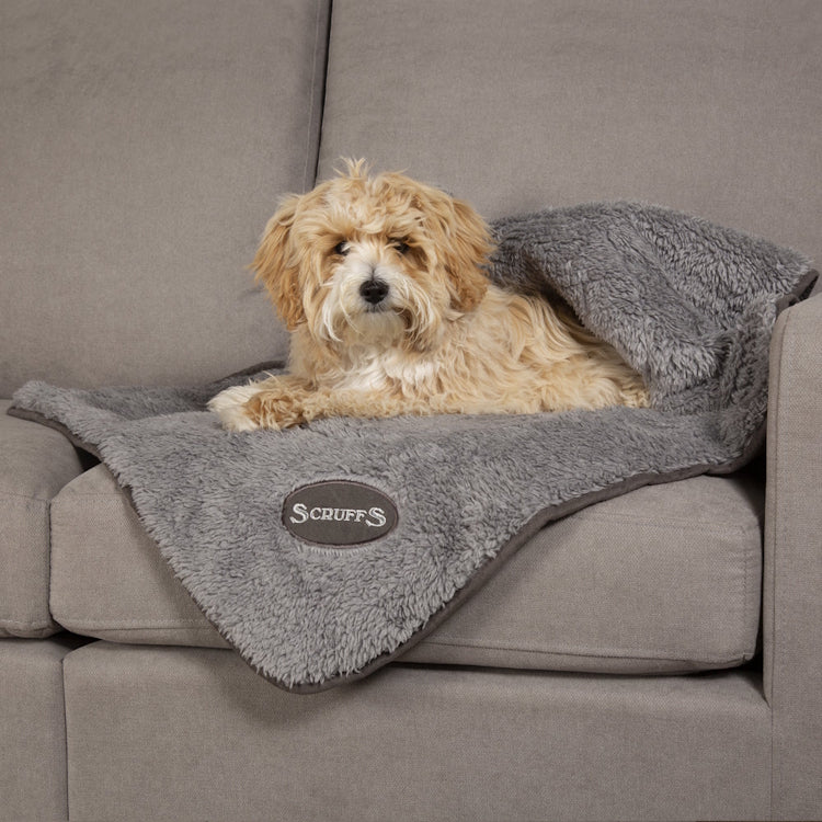 Scruffs Cosy Dog Blanket - Grey - Image 4