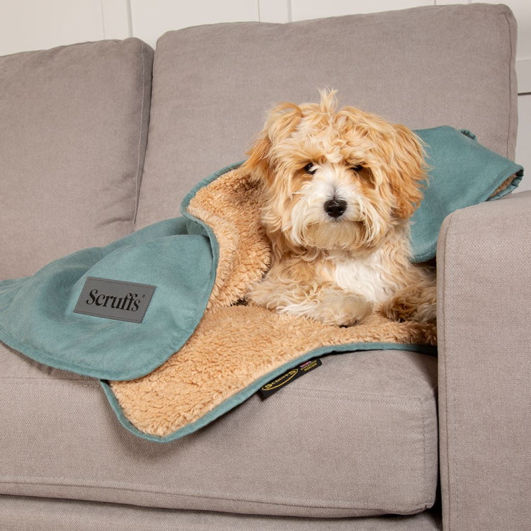 Scruffs Cosy Snuggle Dog Blanket - Sage Green - Image 3