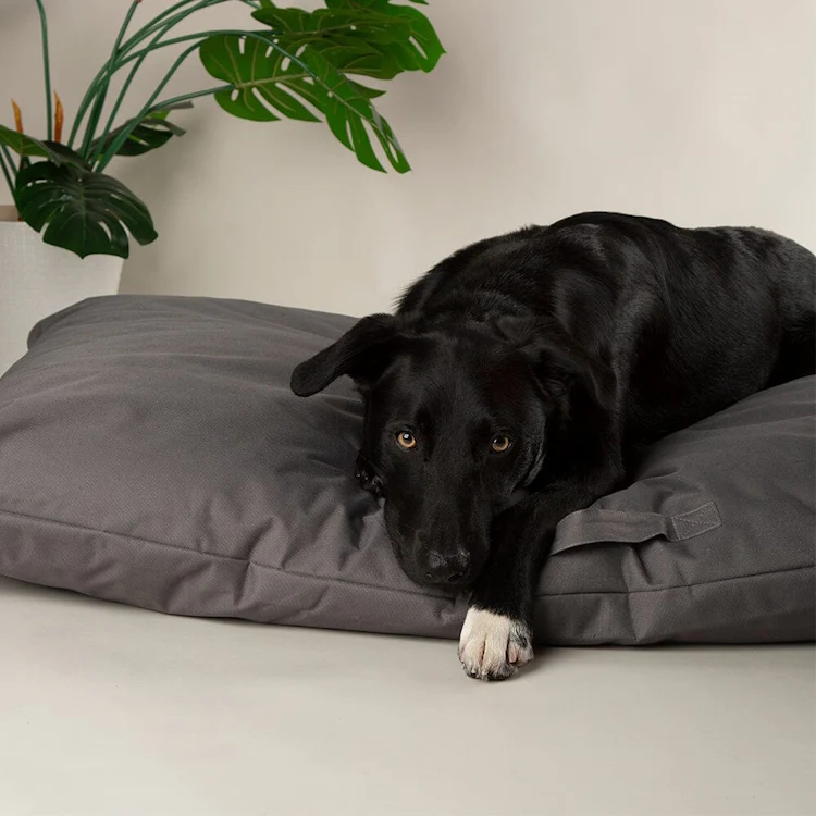 Scruffs Expedition Orthopaedic Pillow Dog Bed - Storm Grey - Image 3