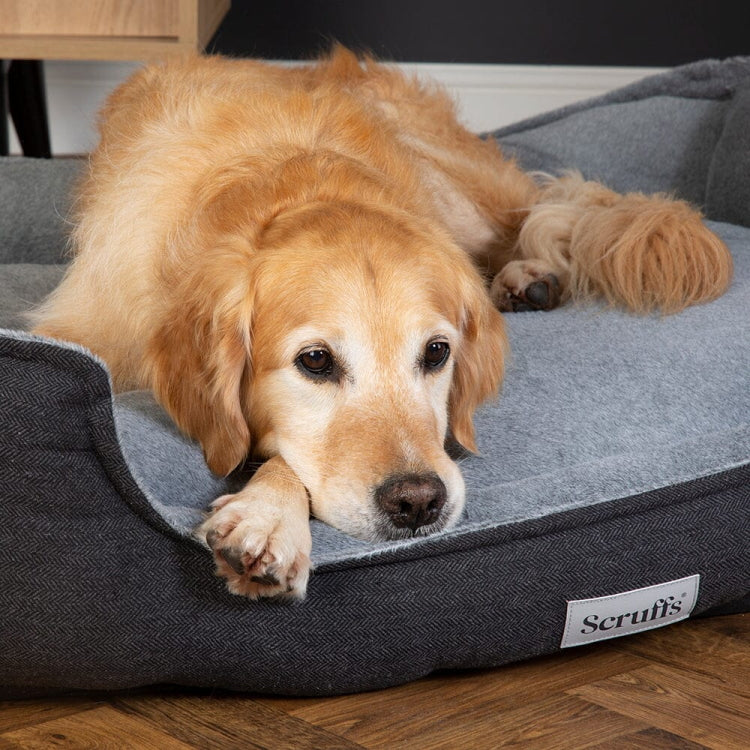 Scruffs Harvard Dog Box Bed - Graphite Grey - Image 3