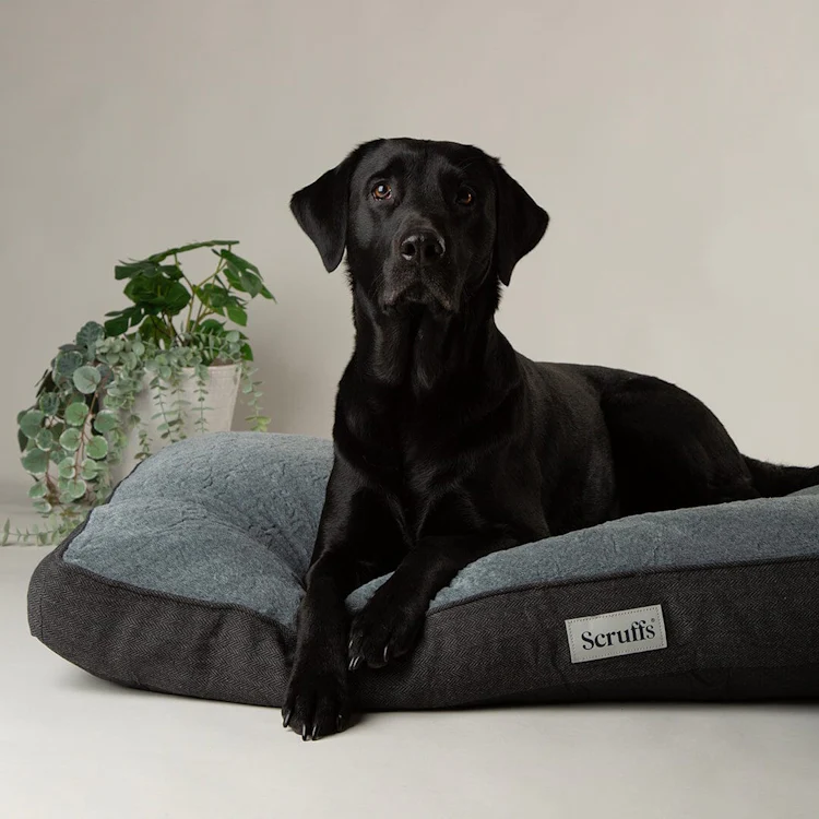 Scruffs Harvard Dog Mattress - Graphite Grey - Image 3