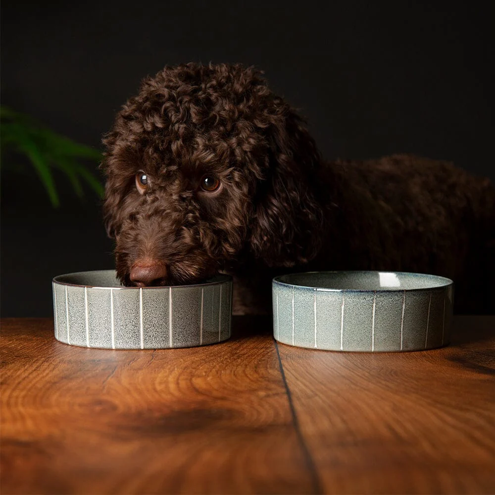 Scruffs Reactive Glaze Dog Bowl - Pinstripe - Image 2