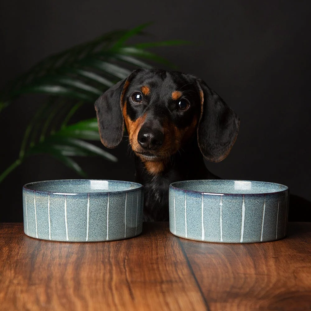 Scruffs Reactive Glaze Dog Bowl - Pinstripe - Image 3