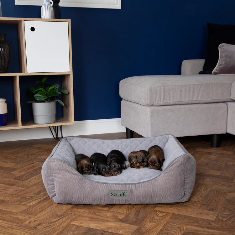 Scruffs Thermal Dog Box Bed - Grey - Image 4