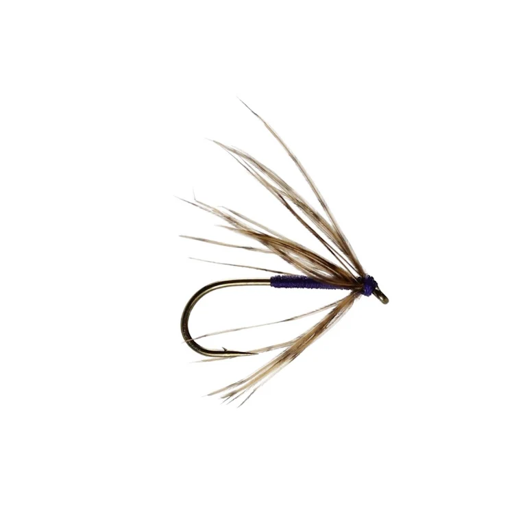 Snipe and Purple Spider