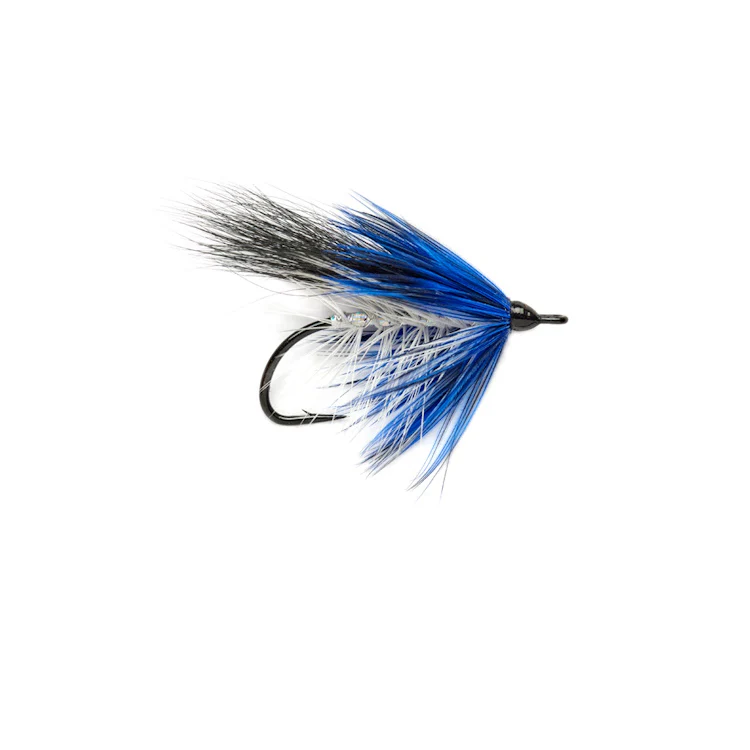 Steffan Jones Daioni Fly