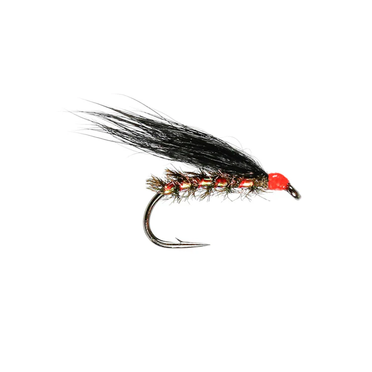 Traffic Light Cormorant Flies