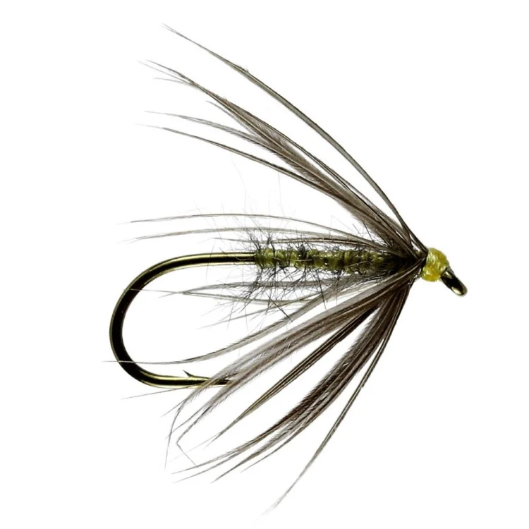 Waterhen Bloa Spider