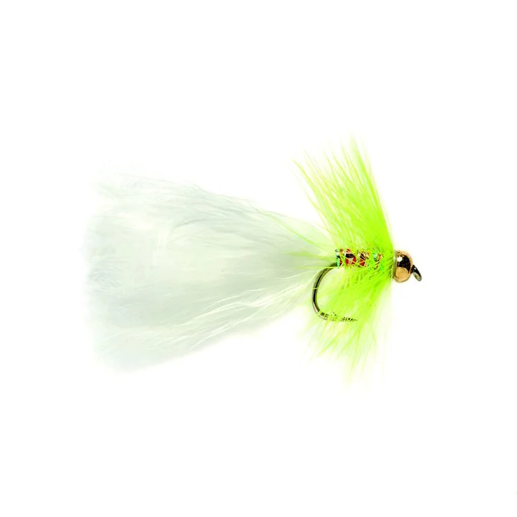 Yellow Dancer Fly
